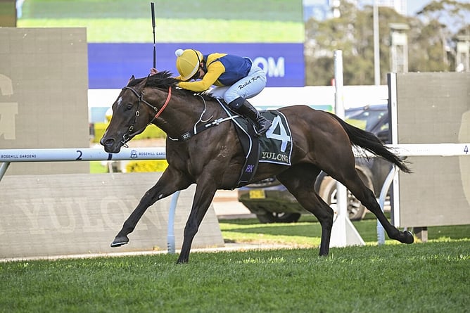 Warwoven became Sword Of State's first Group One winner on Saturday.   - Photo: bradleyphotos.com.au