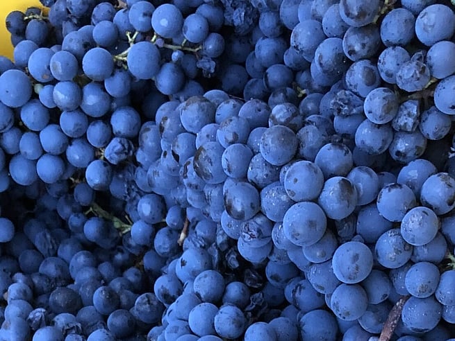 Go to page about the 3 vineyards