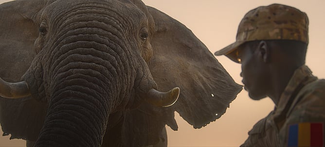 Ranger Abdelkerim Brahim stands with an elephant with bullet hole wounds in its ear in Zakouma National Park, Chad.