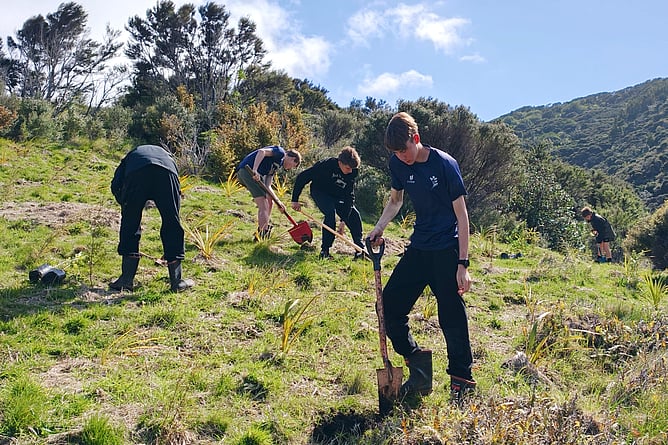 Local high school children help with planting.