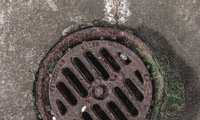Weathered circular cast iron drain grate embedded in concrete pavement with green moss growth.