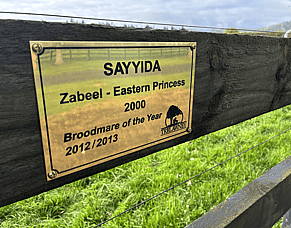 26 Years of Sayyida&nbsp;- A Legacy That&nbsp;Lives On