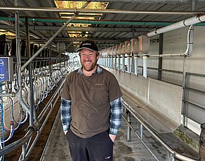 The Hidden Cost of an Acidic Teat Spray