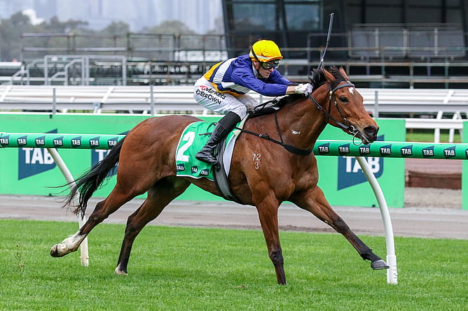 Saintly Dancer wins the Gr.2 TAB Edward Manifold Stakes (1600m) at Flemington.  - Photo: ultimateracingphotos.com.au