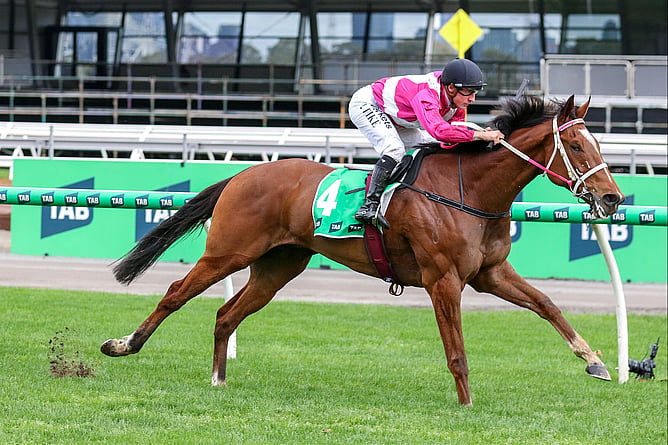 Cosmic Crusader made his Group One mark in Melbourne on Saturday with victory in the A$750,000 TAB Turnbull Stakes (2000m) at Flemington. - Photo: ultimateracingphotos.com.au