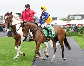 Saintly Dancer has Hawkins dreaming of Guineas glory