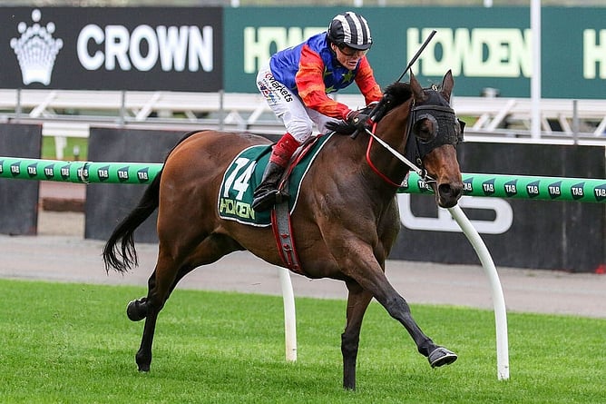 Miss Waititi took out the A$175,000 Listed Howden Super Impose Stakes (1800m) at Flemington on Saturday.  - Photo: ultimateracingphotos.com.au