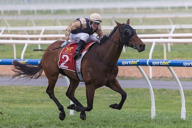 St Lawrence scored his first black-type success in the A$150,000 Listed Carlton Draught Murray Bridge Gold Cup (1600m). - Photo: AtkinsPhotography.com.au
