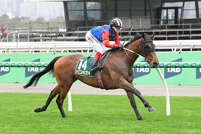 Miss Waititi winning the Listed Super Impose Stakes (1800m).  - Photo: Brett Holburt (Racing Photos)