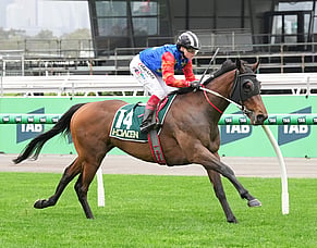 Breeding group toasts Flemington stakes success