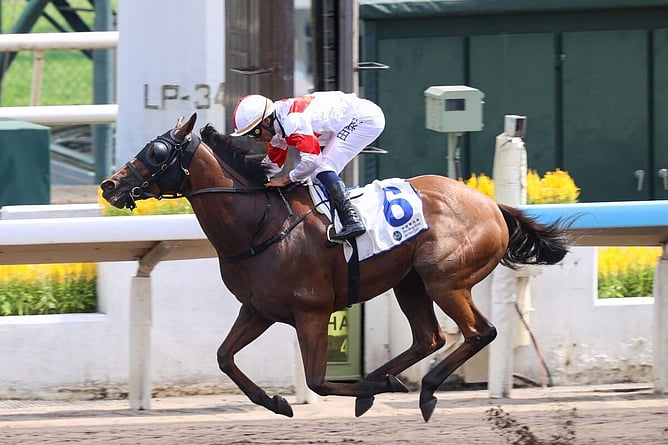 New Zealand-bred Definitive secures his first Class 2 victory at Sha Tin. - Credit: Hong Kong Jockey Club