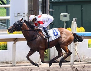 New Zealand-bred Definitive delivers for War Decree in Hong Kong