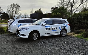 Jo vet at Global Veterinary Services