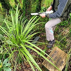 International Trading in Biodiversity Credits