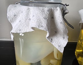 Apple Cider Vinegar