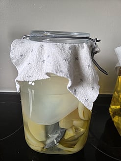 Stage 2 - The mother has formed