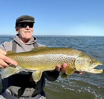 Lake Rotorua brown trout Ollie Bassett Fly Fishing