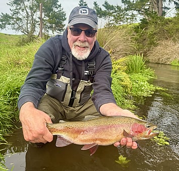Spring creek rainbow trout New Zealand
