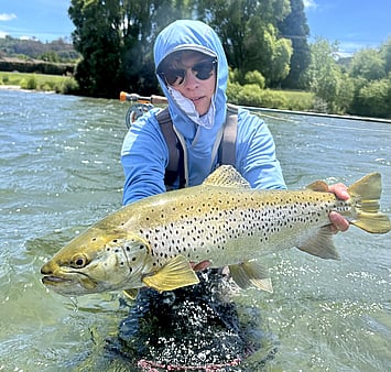 Lake Rotorua brown trout