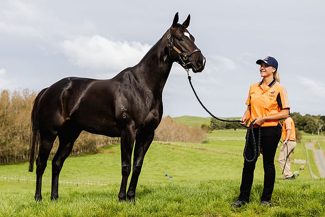 Faith Pollock pictured at Te Akau
