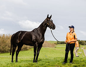 Pollock and Hamilton awarded 2027 Irish National Stud scholarships