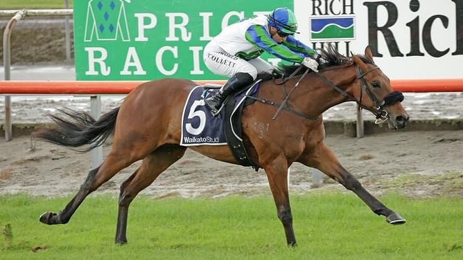 Group Three winner Justin Case will likely line-up in next month's Listed Sir Colin Meads Trophy (1200m) at Hastings. - Photo: Kenton Wright (Race Images)