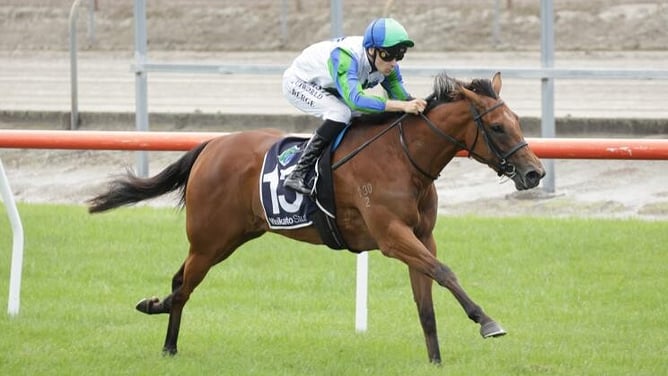 Promising mare Convinced has joined Benji King's Matamata barn. - Photo: Kenton Wright (Race Images)