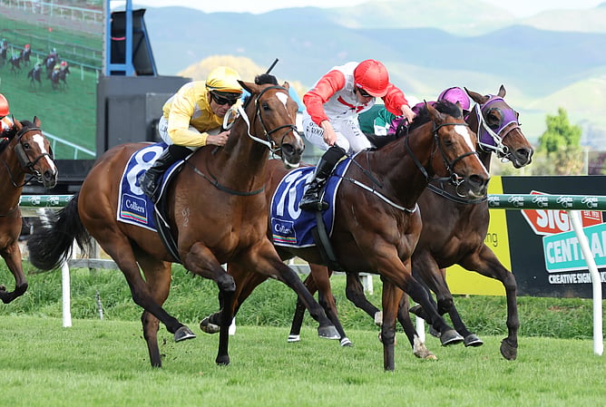 War Princess (Yellow colours) takes out the Gr.3 Timberspan Spring Sprint (1400m) in a thrilling finish with Affirmative Action (Red cap and sleeves)  - Photo: Race Images (Peter Rubery)