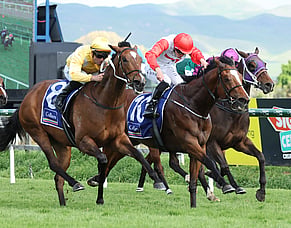 War Princess strikes Hastings hattrick