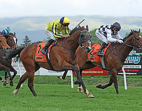 Waitak the warrior wins Hastings Group One war