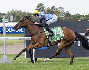Satono Glow shines in Roman Consul triumph