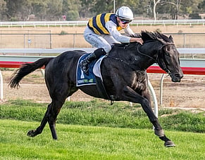 Seymour success gives Wymark country cup hat-trick