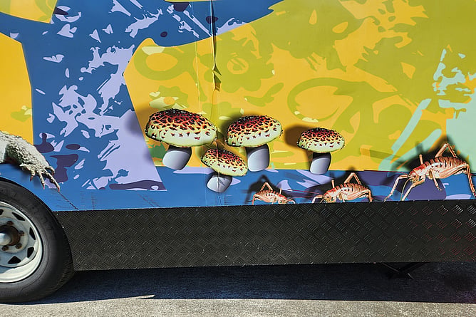 Close up of The Beautification Trust's Tread Lightly Caravan