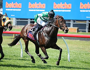 Breeder&rsquo;s plan comes to fruition in Livamol