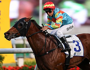 Kiwi connections shine with five Sha Tin winners