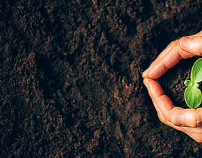 Why your investment timeframe matters