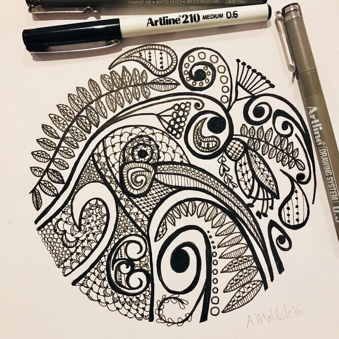Original ink pen drawing of Kiwi’s Lace by NZ artist Anna Mollekin with Artline pens