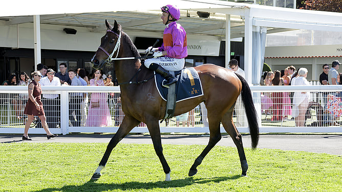 Platinum Attack and Opie Bosson in the Ellerslie Birdcage after their crushing victory in the Gr.3 Sweynesse Stakes (1215m). - Photo: Race Images - Kenton Wright