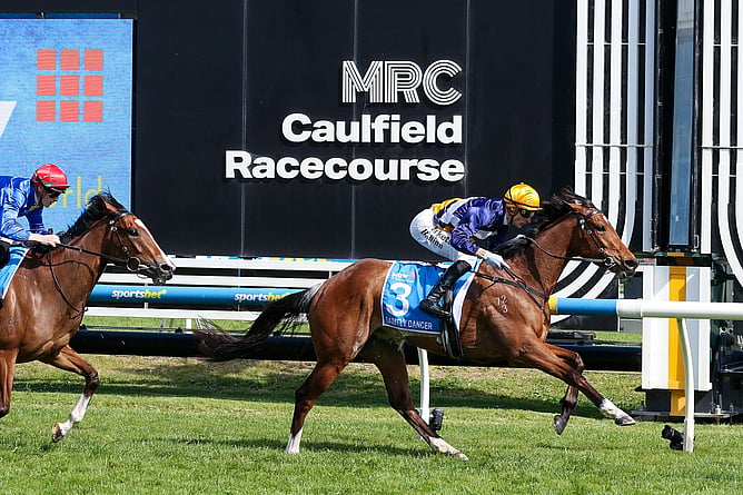 New Zealand-bred Saintly Dancer completed a notable spring double with victory in the Gr.1 Stow Storage Thousand Guineas (1600m) at Caulfield on Saturday - Photo: ultimateracingphotos.com.au