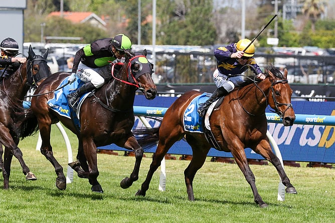 War Machine takes out the A$240,000 Gr.3 Harry White Stakes (1400m) at Caulfield.  - Photo: ultimateracingphotos.com.au