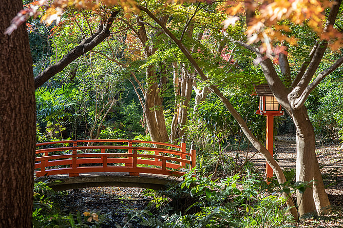 &copy;Tokyo Convention & Visitors Bureau