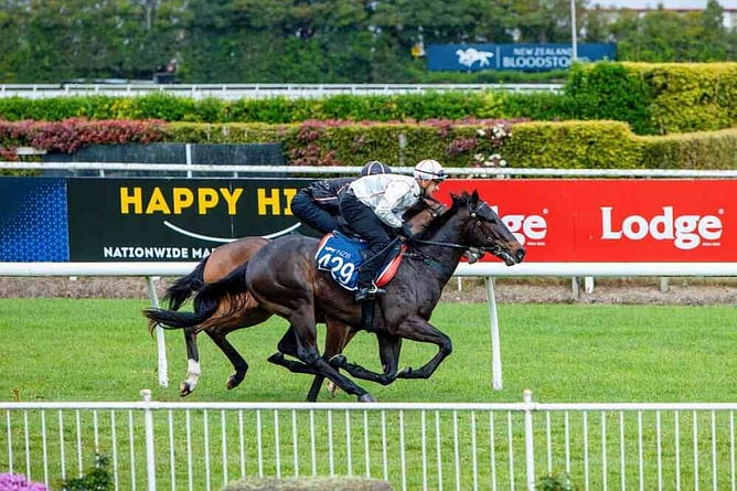 Lot 429 is by Hellbent. - Photo: supplied