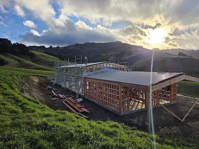 Timber framing and the steel frame going up at sunset with scaffolding in place, on the Dunedin hills