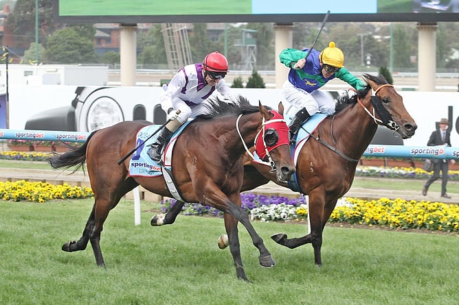 Ocean Park (outside) winning the 2012 edition of the Gr.1 Cox Plate (2040m). -  Photo: Supplied