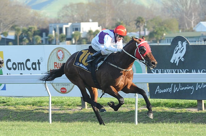 Ocean Park winning the Gr.1 Makfi Challenge Stakes (1400m) at Hastings.  - Photo: Race Images