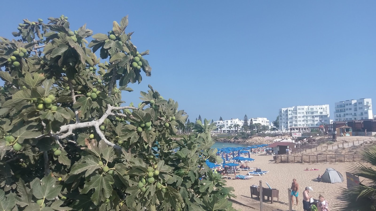 Fig Tree Bay, Protaras, Cyprus