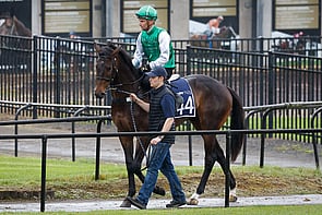 LOT 44 - Embellish &ndash; Starry OceanGelding  Breeze Up  10.86