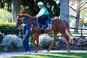 LOT 31 - St Mark's Basilica &ndash; Slow the FlowColtBreeze Up  10.58