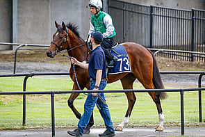 LOT 73 - Sword of State&ndash; The AnkhFillyBreeze Up 10.46