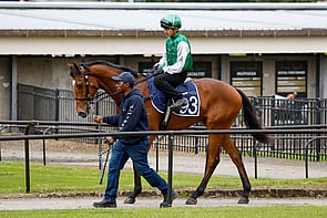 Lot 93 - Santos &ndash; TulipGeldingBreeze Up 10.94